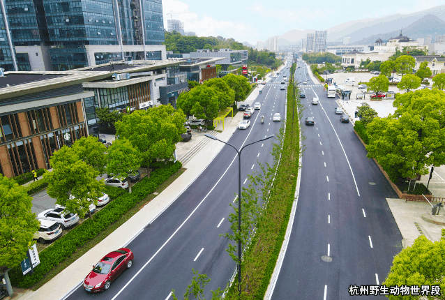 高尔夫3.gif 高尔夫3.gif